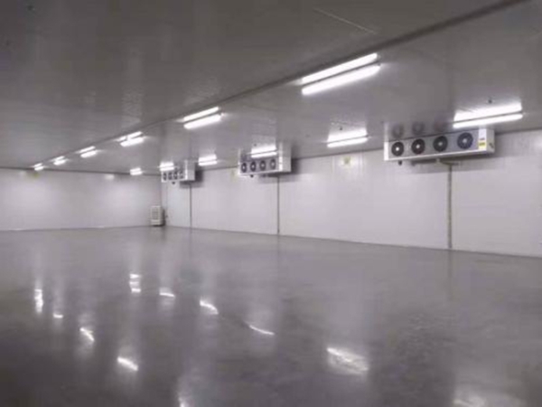 建設(shè)1500㎡食品速凍低溫庫優(yōu)勢(shì)及應(yīng)用有哪些？